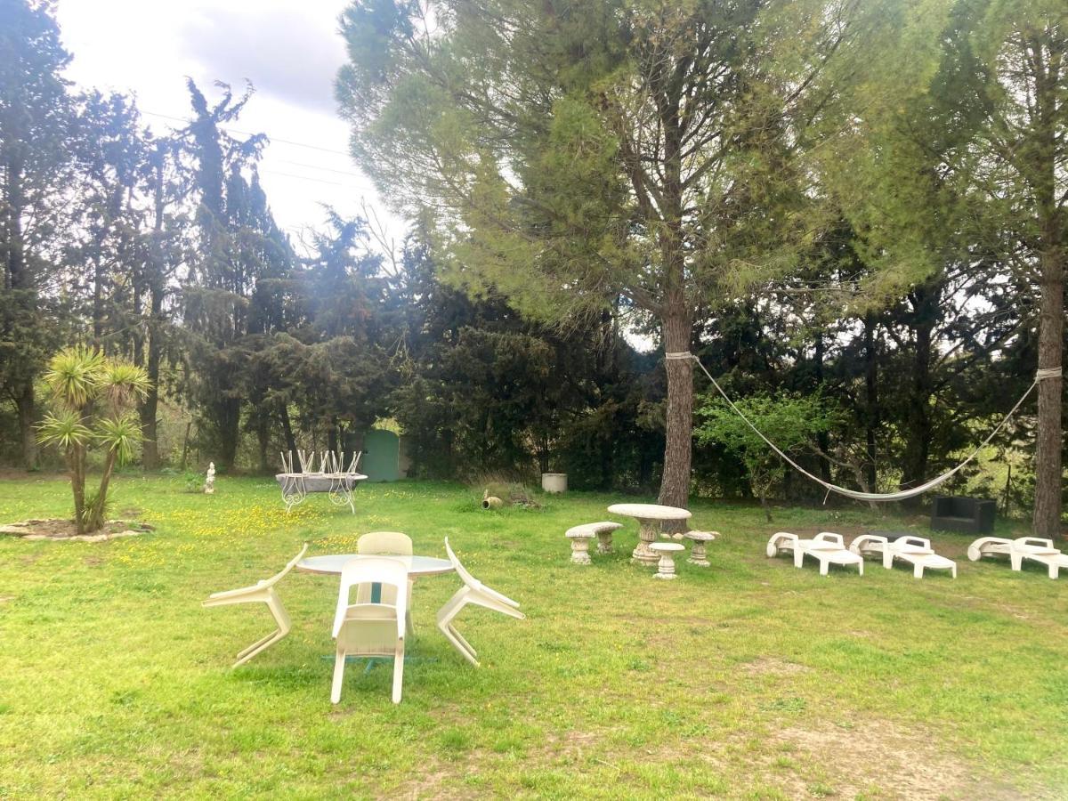 Villa 110M2, 7 Pers, Jacuzzi , 3 Chambres, Terrain Clos Et Arbore 2500M2 Trèbes Eksteriør bilde